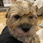 George Crook - Facebook