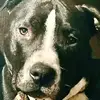 georgecrook - @georgecrook - TikTok
