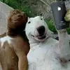 George cuadera - @george.cuadera - TikTok