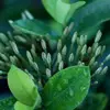 GeorgeCulver8224 - @georgeculver8224 - TikTok