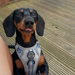 George Cumberland Falzon - @georgethesaus - Instagram
