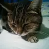 george.cuthbert - @george.cuthbert - TikTok