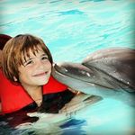 George Daher - @george_daher - Instagram
