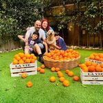 George Daher - @george.daher.71 - Instagram