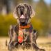 George T. Dane - Facebook