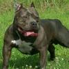 George Dayes - @george.dayes - TikTok