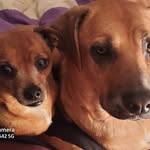 George Deaner - @georgedeaner - Instagram