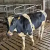 GeorgeDeane1 - @georgedeane - TikTok