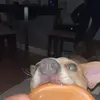 george.e.deluca - @george.e.deluca - TikTok