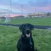 georgedemoulias87 - @georgedemoulias87 - TikTok
