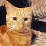 George Devlin - @george_plays_ball - Instagram