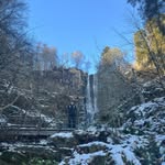 George Dobson - @georgegdobson - Instagram