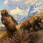 George Stamtsis-Dobson - @grog3939 - Instagram