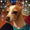 georgedobson223 - @georgedobson223 - TikTok