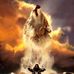 George Donelson - Facebook