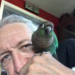 George Dowd - @georgeldowd364 - Instagram