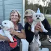 georgedriver2 - @georgedriver2 - TikTok