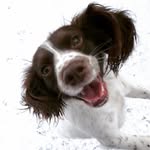 George Drury - @drury.george - Instagram