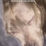 George - @george_drury_09 - Instagram
