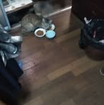 George Dulay - Facebook
