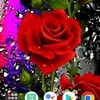 georgedulay942 - @georgedulay942 - TikTok