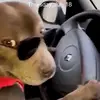George_Durbin - @george.durbin - TikTok