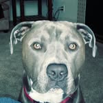 George Durbin Durbano - @durbindurbano - Instagram