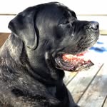 @george_durden - Instagram