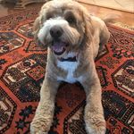 George Fleasley - @georgefleasley - Instagram