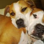 George Eason - @geason313 - Instagram