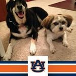 George Eberly - @eberlygeorge - Instagram