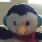 George Eccles - @georgebee2006 - Instagram