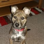George Eccles - @george_eccles - Instagram