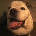 George Ely - Facebook