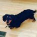 George Elgin - Facebook