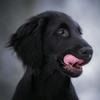George_Embry - @george_embry - TikTok