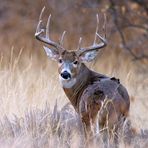 George Emerick - Facebook