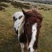 George Empson - Facebook