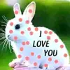 Eng George - @eng.george1 - TikTok