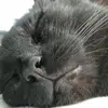 georgengler - @georgengler - TikTok