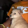 georgerazo - @razo3631 - TikTok