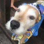 @george.errington - Instagram