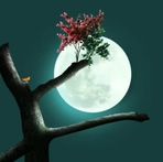 George Esho - Facebook