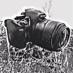 George Espada - @dudebro.ct - Instagram