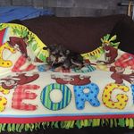 Cindy N George Estabrook - @cindyngeorgeestabrook - Instagram