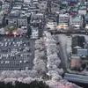 evertgeorge85 - @evertgeorge85 - TikTok