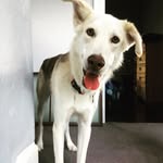 George - @george_everyday - Instagram