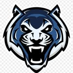 George Faison - @tampa_bay_tigers - Instagram