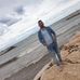 Hani George Falloum - Facebook