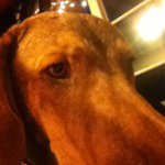 @georgefalls - Instagram